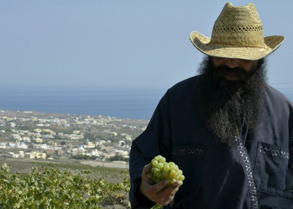 Μια μέρα στη βεντέμα της Σαντορίνης*