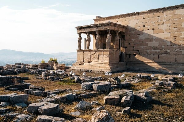 Αυτό το αγριολούλουδο φυτρώνει μόνο στην Ακρόπολη -πουθενά αλλού στον κόσμο!