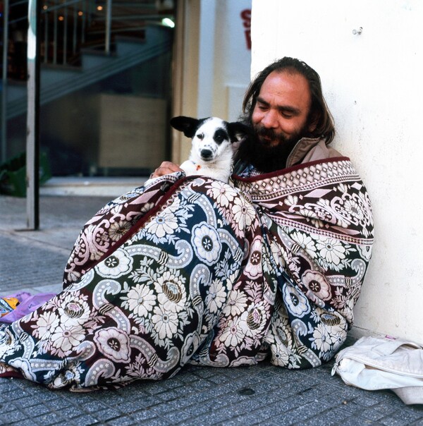 A Dog's Life