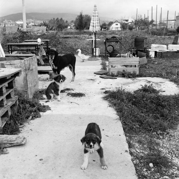 Η Αθήνα του Σπύρου Στάβερη / 7.