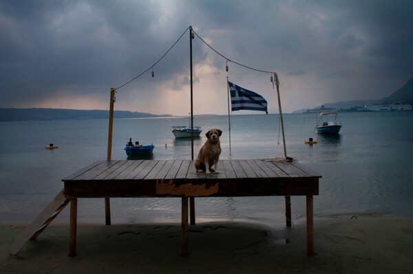 Οι νικητές του 6ου Πανελληνίου Διαγωνισμού της ΛΕΦΚΙ