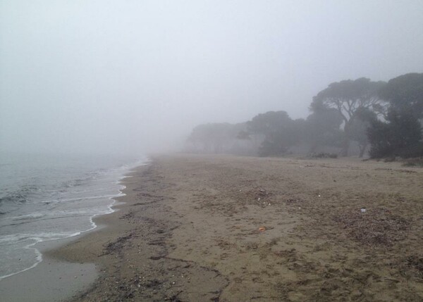 Σήμερα στην Αττική: Αυτή η ομίχλη