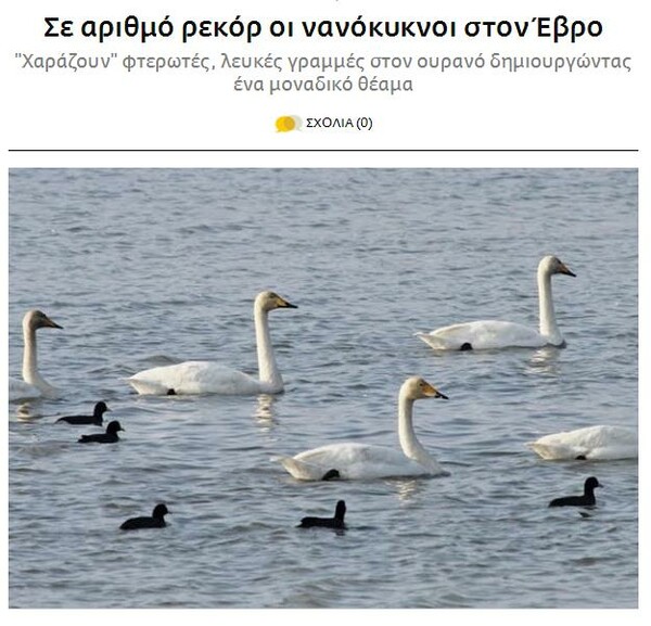 20 φωτογραφίες για την καλύτερη Ελληνική είδηση της ημέρας