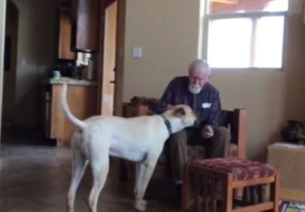 'Ενας άντρας με Αλτσχάιμερ ανακτά στιγμιαία την ομιλία του για να χαιρετήσει ένα σκυλί!