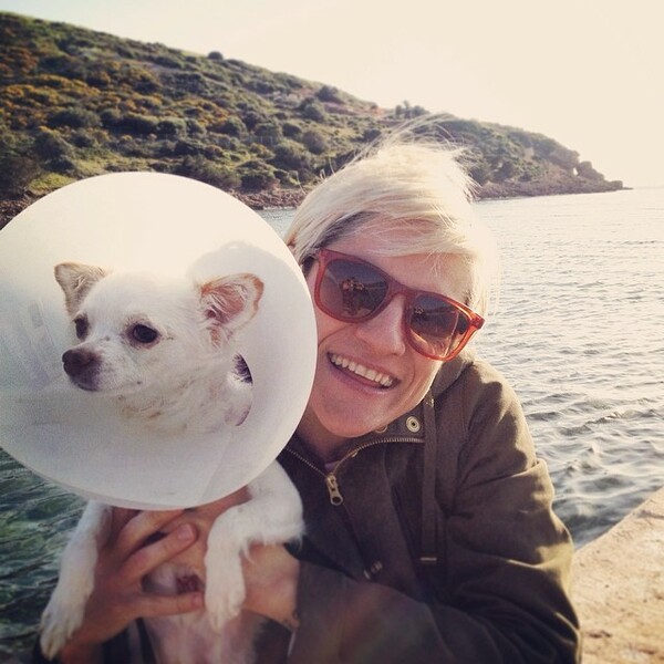 #LIFOPETS (33): Αυτά είναι τα κατοικίδιά μας