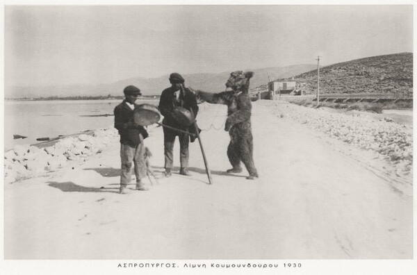 Η τελευταία αρκούδα "χορεύτρια" της Αθήνας