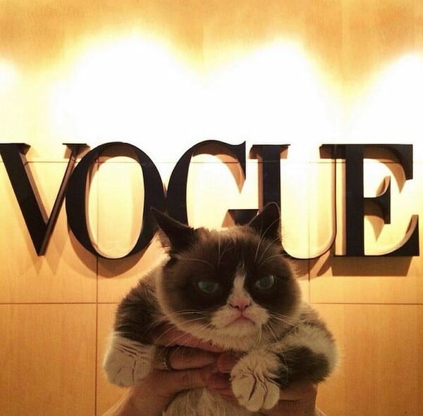 Η Grumpy Cat στη Vogue