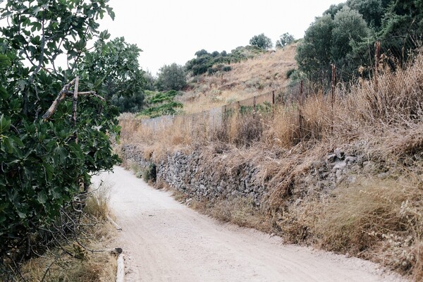 Μικρό οδοιπορικό στα ξεχασμένα ιερά της Ανατολικής Αττικής