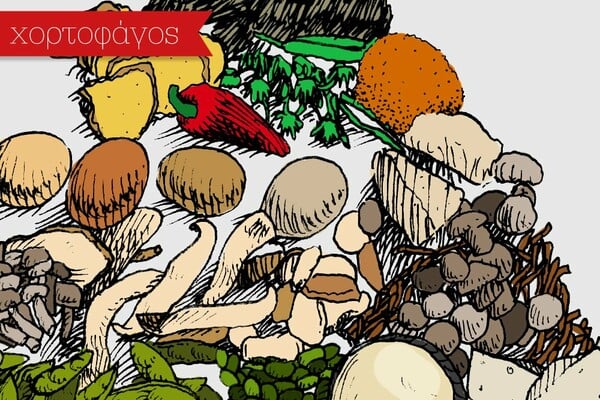 Σε ποια φυλή φαγητού ανήκεις;