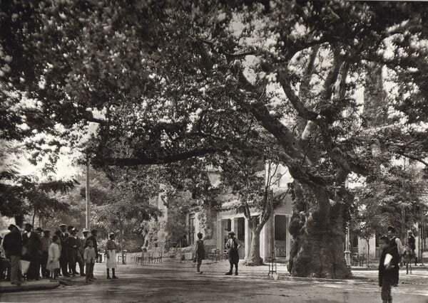 Μια βόλτα στην ιστορική Κηφισιά (σε μέρη που συνήθως προσπερνάμε χωρίς δεύτερη ματιά)