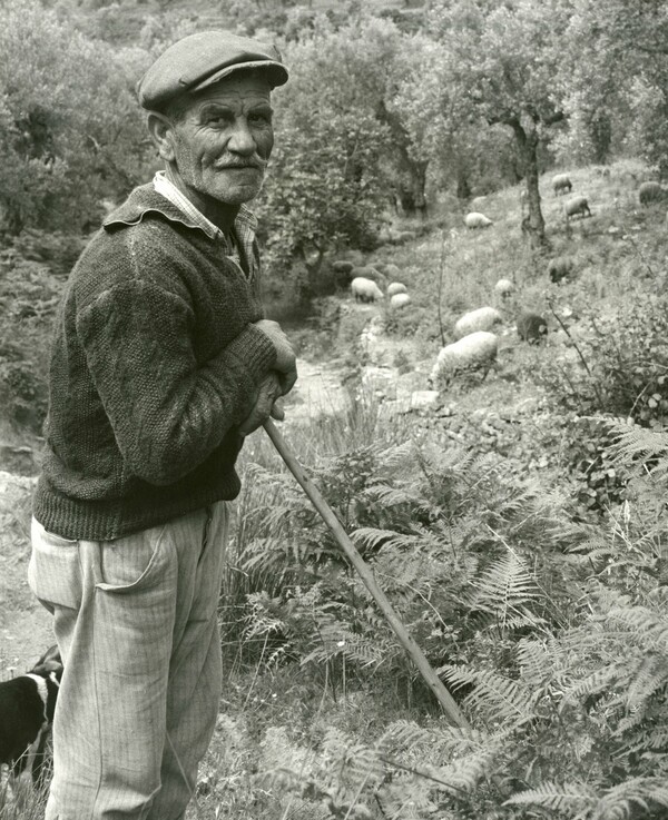 Η Ελλάδα του '60 μέσα απ' τα μάτια του Wolf Suschitzky, φωτογράφου ετών 102