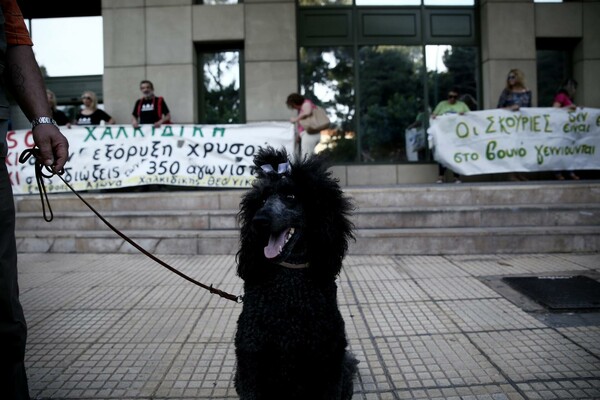 11 φωτογραφίες απ' την συγκέντρωση κατά της εξόρυξης χρυσού