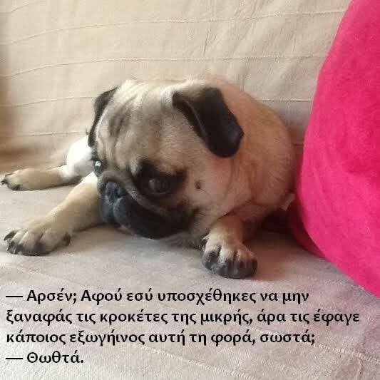 Αυτά είναι τα δύο πιο διάσημα pets του ελληνικού ίντερνετ