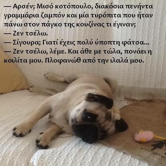 Αυτά είναι τα δύο πιο διάσημα pets του ελληνικού ίντερνετ