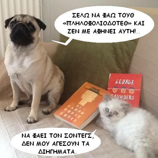 Αυτά είναι τα δύο πιο διάσημα pets του ελληνικού ίντερνετ