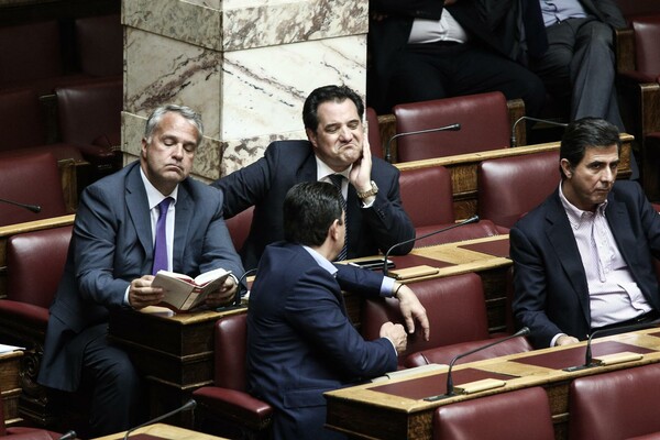 Η Ολομέλεια του "ΝΑΙ" σε 30 φωτογραφίες