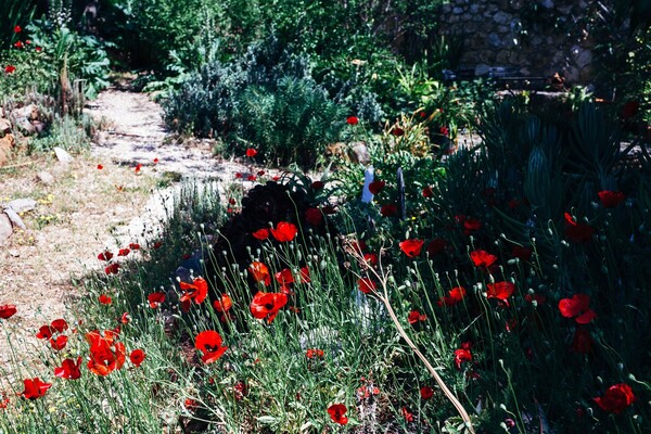 Ποιος είπε ότι η κηπουρική είναι μόνο για ηλικιωμένους;