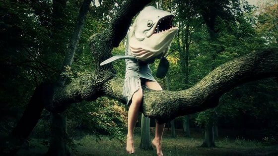 Τι θα δούμε στο 21ο Φεστιβάλ Χορού Καλαμάτας