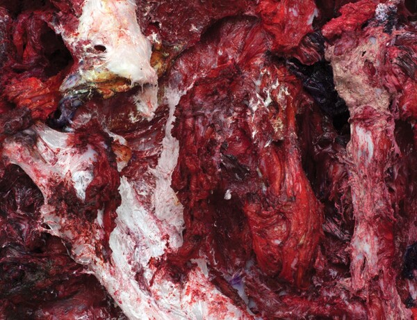 Οι ανοιχτές πληγές του Anish Kapoor