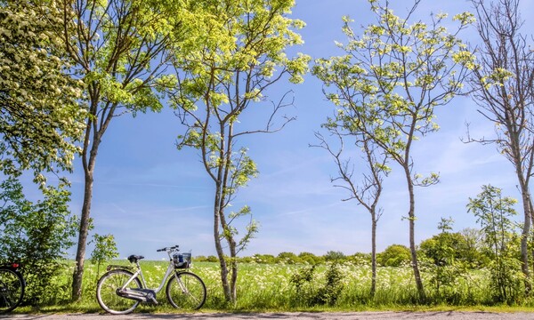 Διασχίζοντας με ποδήλατο τις ακτές της Δανίας