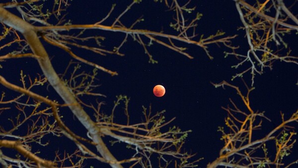 20 υπέροχες φωτογραφίες από την κατακόκκινη Υπερπανσέληνο