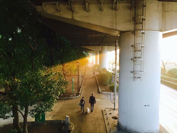 #iphoneonly- Όλες οι υπέροχες φωτογραφίες που τραβήχτηκαν με iPhone