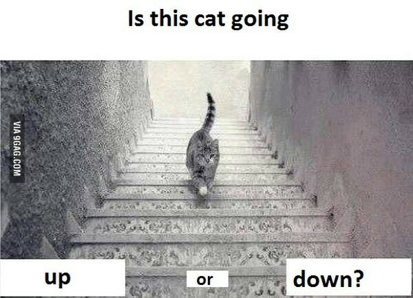 O νέος γρίφος του ίντερνετ! Αυτή η γάτα ανεβαίνει ή κατεβαίνει τις σκάλες;