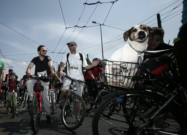 Μικροί, μεγάλοι και σκυλιά σε δύο ρόδες για τον Ποδηλατικό Γύρο της Αθήνας