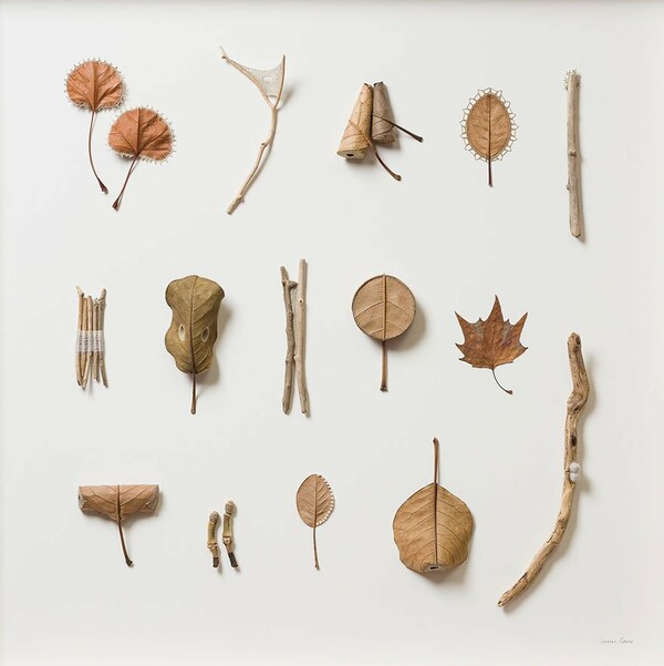  Τα εντυπωσιακά κεντημένα φύλλα της Susanna Bauer