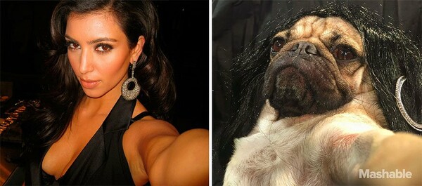 To pug που ξέρει πως να βγάζει selfies σαν τη Kim Kardashian