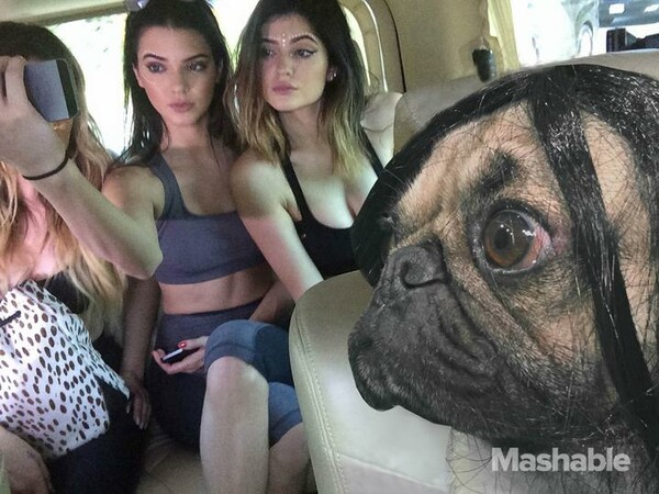 To pug που ξέρει πως να βγάζει selfies σαν τη Kim Kardashian