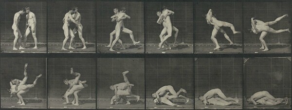 Locomotion