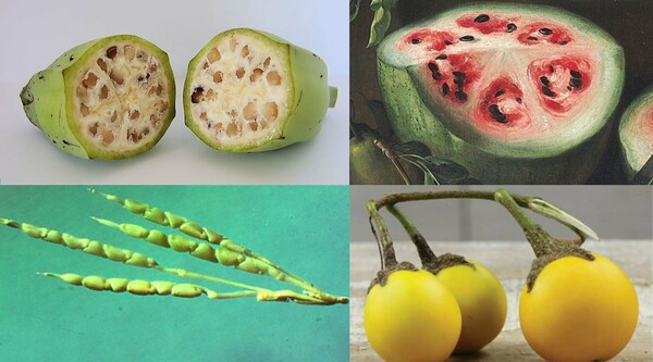 Μπορείς να αναγνωρίσεις τα φρούτα και τα λαχανικά από το πώς έδειχναν παλιά