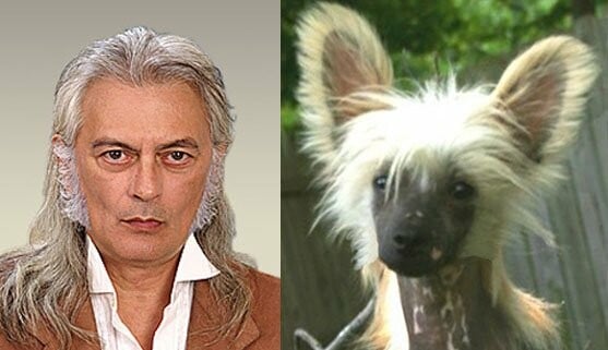 31 άνθρωποι που μοιάζουν με άλλους ανθρώπους