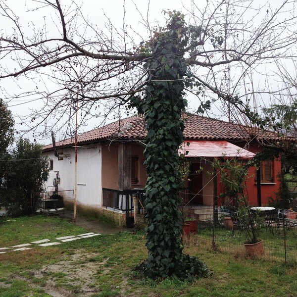 Βεργίνα υπό βροχή