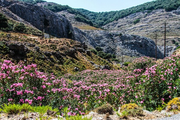 Ξέρω τι έκανες τον Δεκαπενταύγουστο στην Ικαρία!