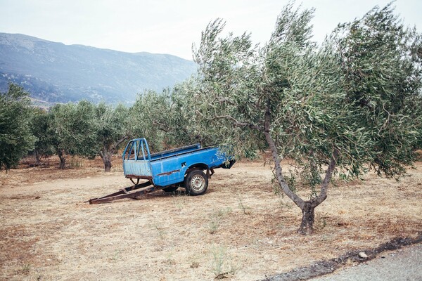  37 φωτογραφίες αποδεικνύουν γιατί είναι απαράμιλλος ο Αύγουστος στη Λακωνία