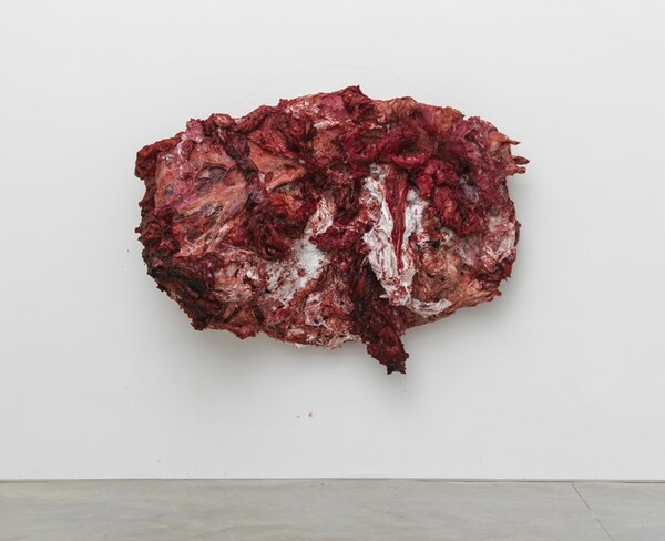 Οι ανοιχτές πληγές του Anish Kapoor 