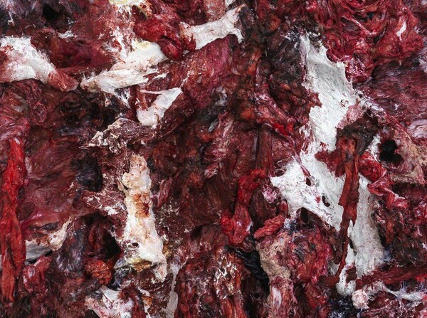 Οι ανοιχτές πληγές του Anish Kapoor