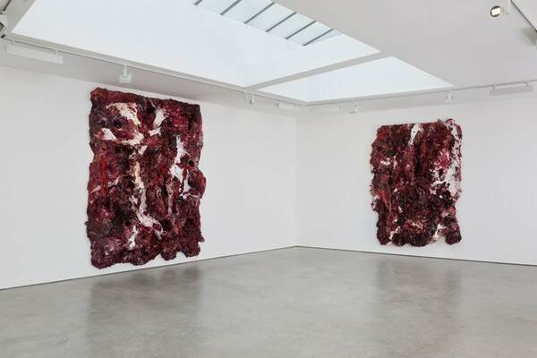 Οι ανοιχτές πληγές του Anish Kapoor
