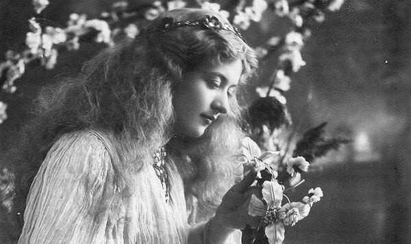 Ποια ήταν η καλλονή Maude Fealy;