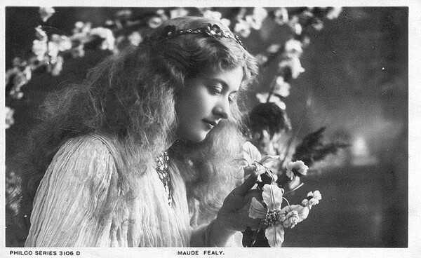 Ποια ήταν η καλλονή Maude Fealy;