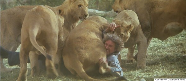 Roar: Η πιο επικίνδυνη ταινία που γυρίστηκε ποτέ