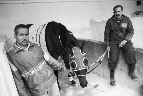 Στην παλιά γειτονιά των Αιγυπτίων ιπποκόμων