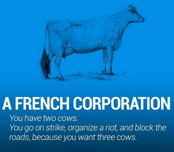 Εξηγώντας την παγκόσμια οικονομία με δύο αγελάδες