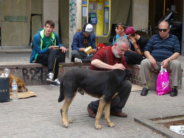 Athens exotica