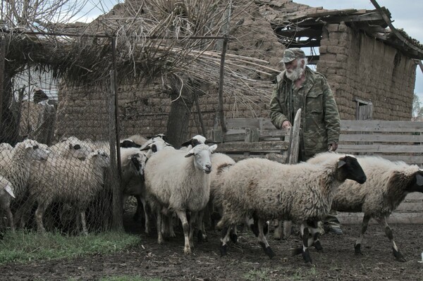 Ζώντας σε μια καλύβα με τη μάνα του και 30 πρόβατα
