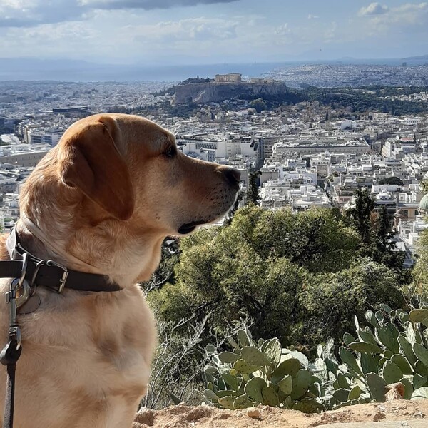 10 νέες φωτογραφίες απ' τα τέλεια ζώα των αναγνωστών μας #550