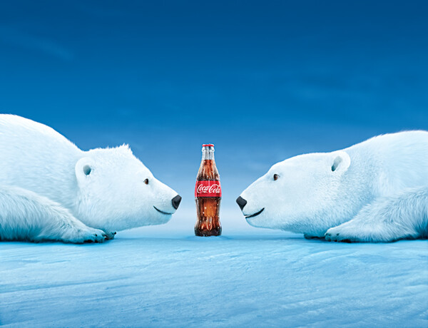 Polar Bears 