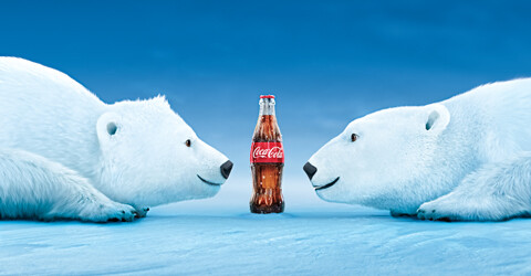 Polar Bears 